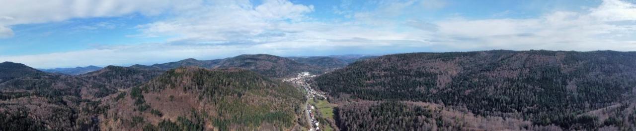 Black Forest Apartment Bad Herrenalb Buitenkant foto