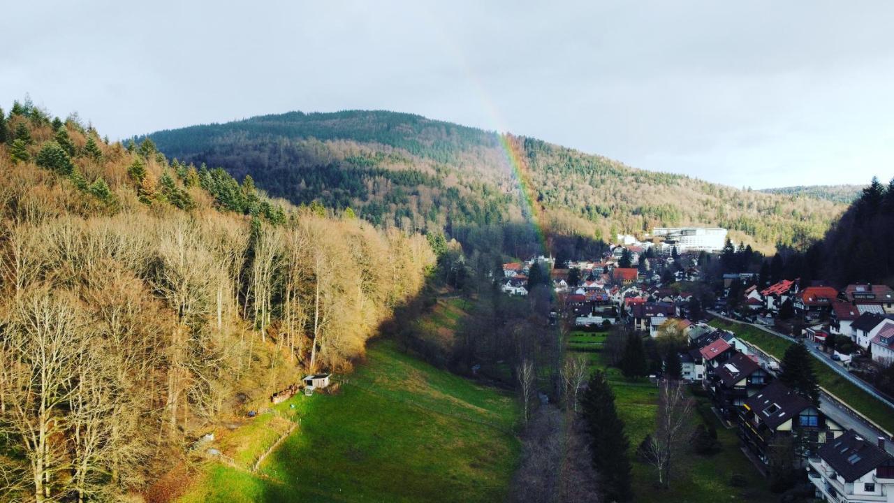 Black Forest Apartment Bad Herrenalb Buitenkant foto