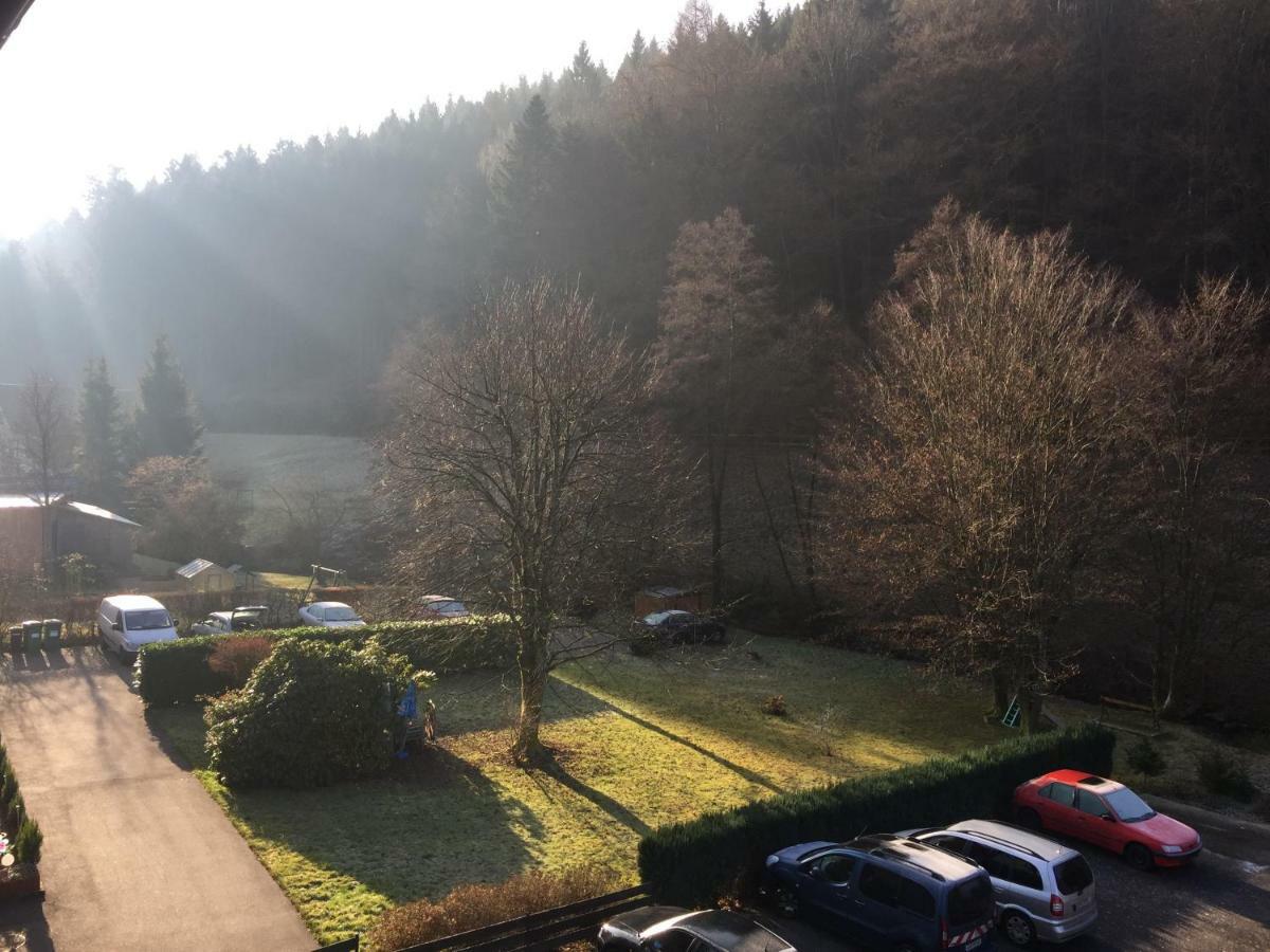 Black Forest Apartment Bad Herrenalb Buitenkant foto